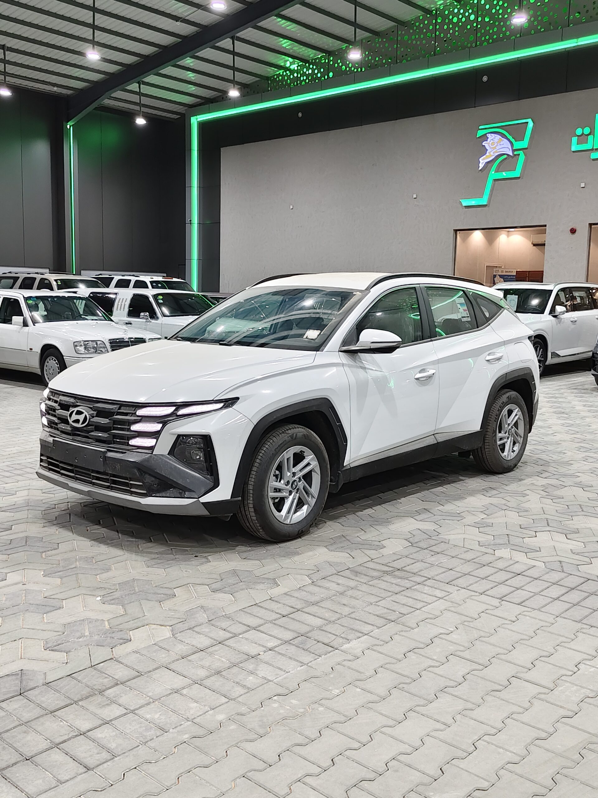 Hyundai Tucson Fleet 2.0 2026