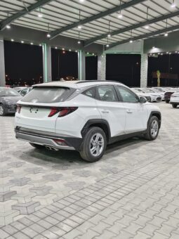 Hyundai Tucson Fleet 2.0 2026