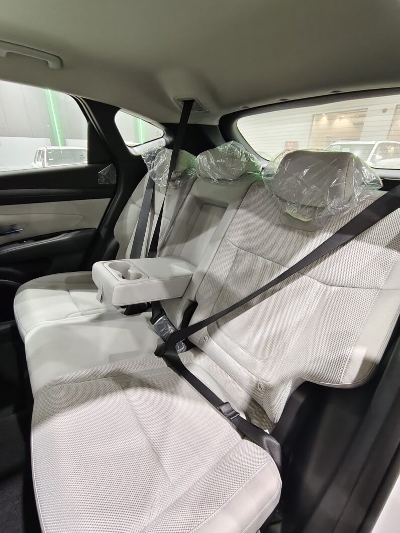 
								Hyundai Tucson Fleet 2.0 2026 full									