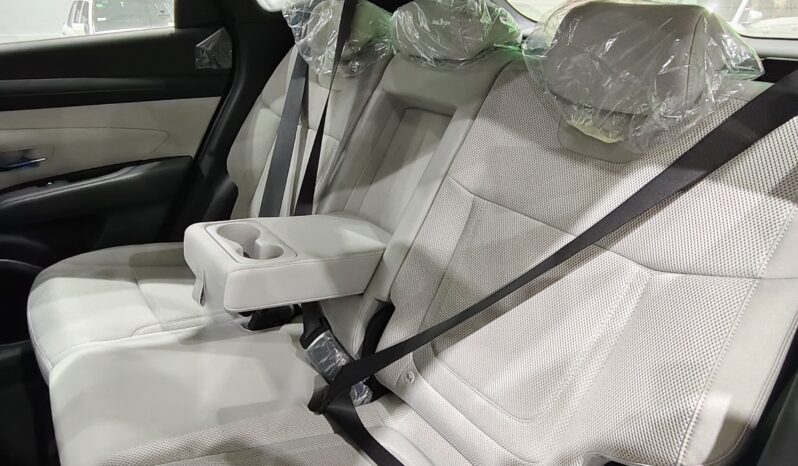 
								Hyundai Tucson Fleet 2.0 2026 full									