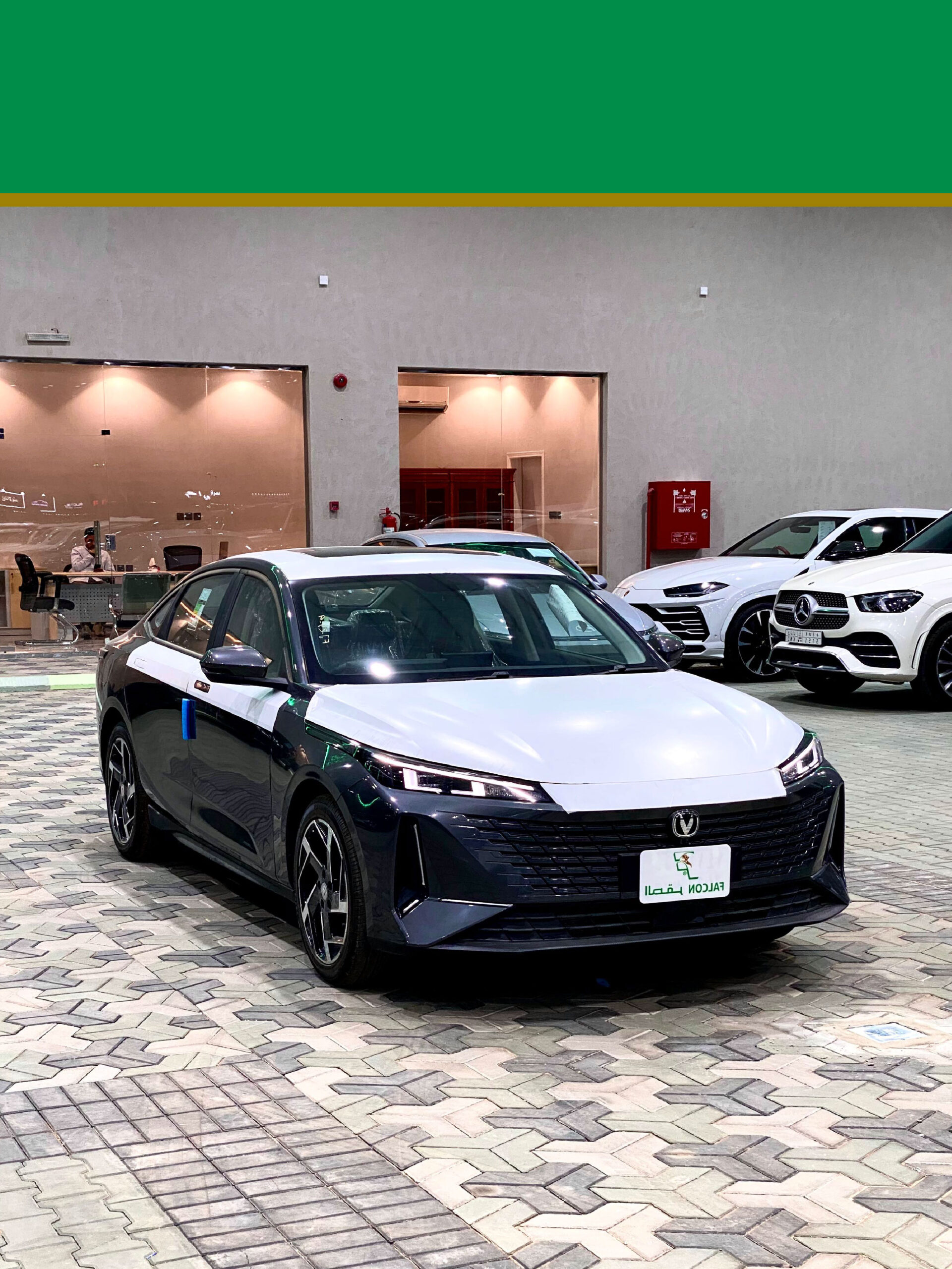 Changan Eado Plus Grey 2026